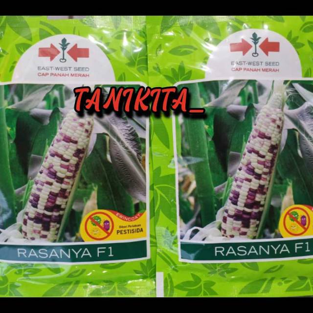 BENIH BIBIT TANAMAN JAGUNG RASANYA F1 JAGUNG PULUT 200 BUTIR