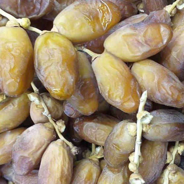 

TERLARIS Kurma Tunisia tangkai 500gram/KURMA 1KG/KURMA BARARI/KURMA RUTHOB/KURMA BAM/KURMA PALM FRUIT/KURMA TANGKAI/KURMA AZWA/KURMA SUKKARI/KURMA SAFAWI/KURMA TUNISIA/KURMA MUDA KUNING/KURMA MUDA HIJAU/KURMA MEDJOL/KURMA MADINAH SUPER