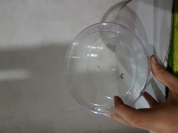 Toples Mika Biggy 1/2kg - Toples Nastar - Toples Kue Kering