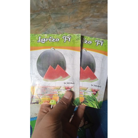 BENIH SEMANGKA NON BIJI F1