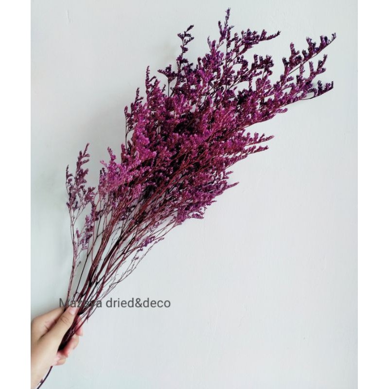 Dried Flower Caspea/Lovergrass Natural Asli Bunga Kering Hisan Bunga Kering Asli murah Dry Import