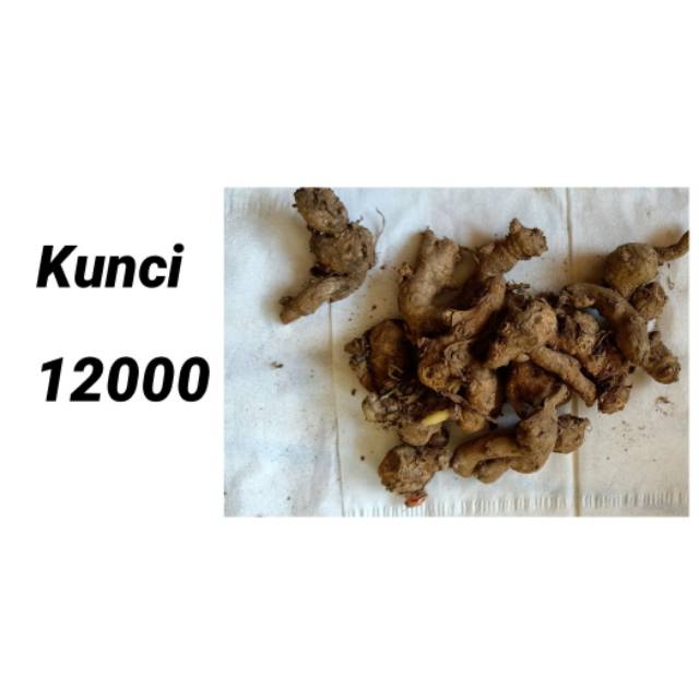 

Kunci