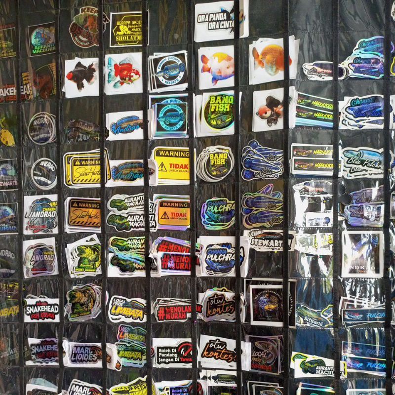 

Stiker Channa/Stiker Ikan Predator/Stiker Cutting/Stiker Ikan/Stiker Murah