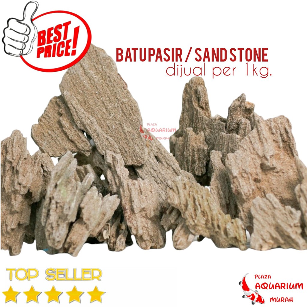batu pasir / sand stone aquascape