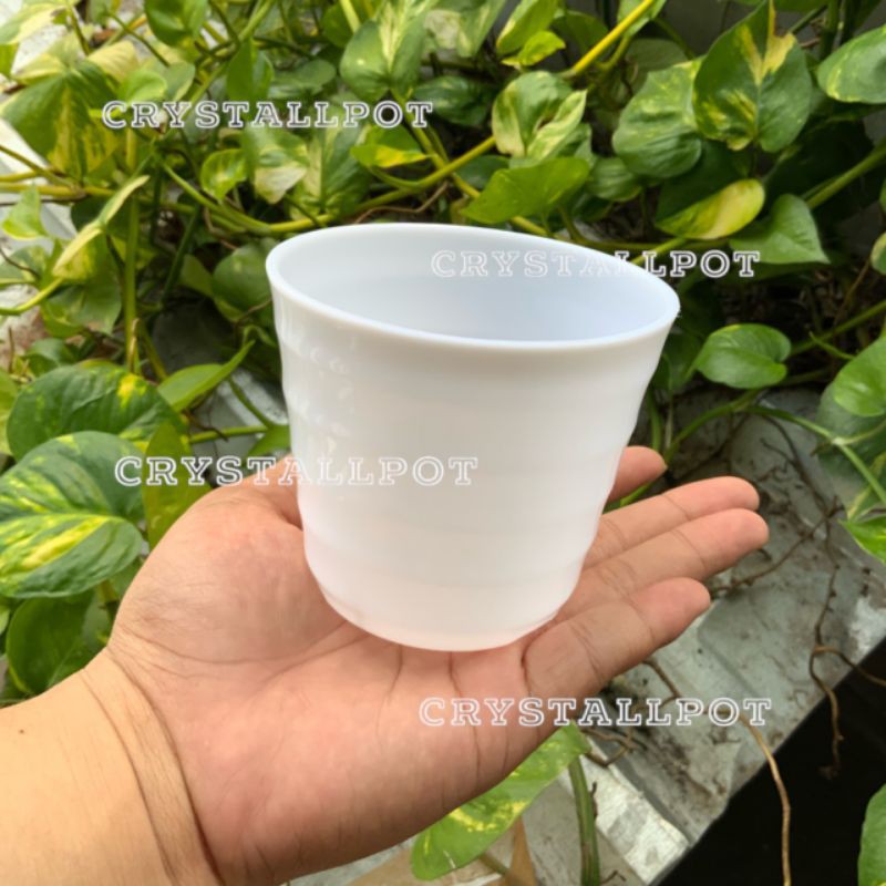 pot bunga tanaman Mado putih 9cm - lovenia 8010