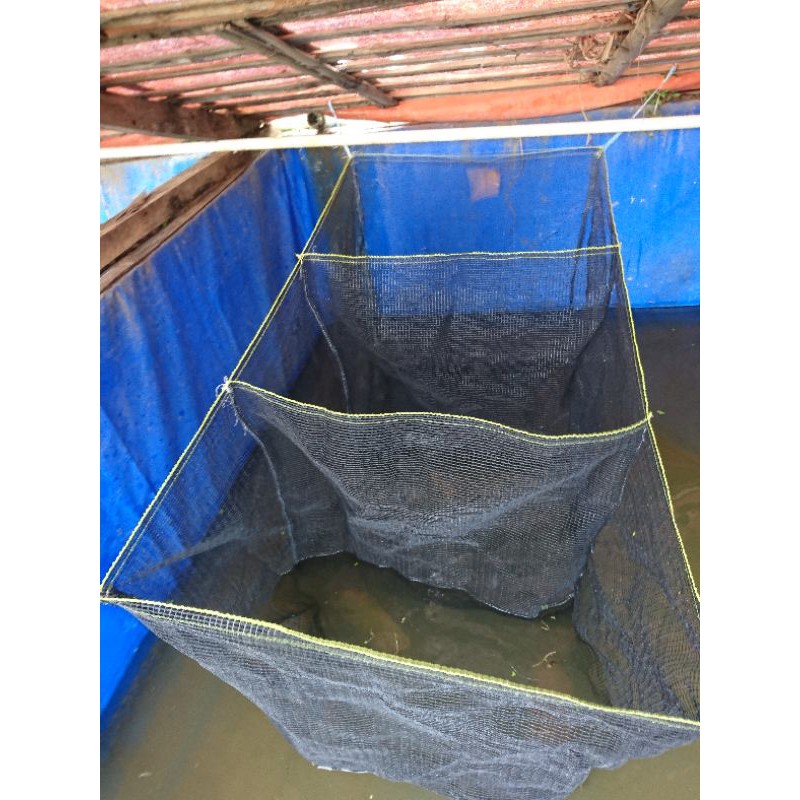 keramba ikan waring Rk doble anti geser sekat 3