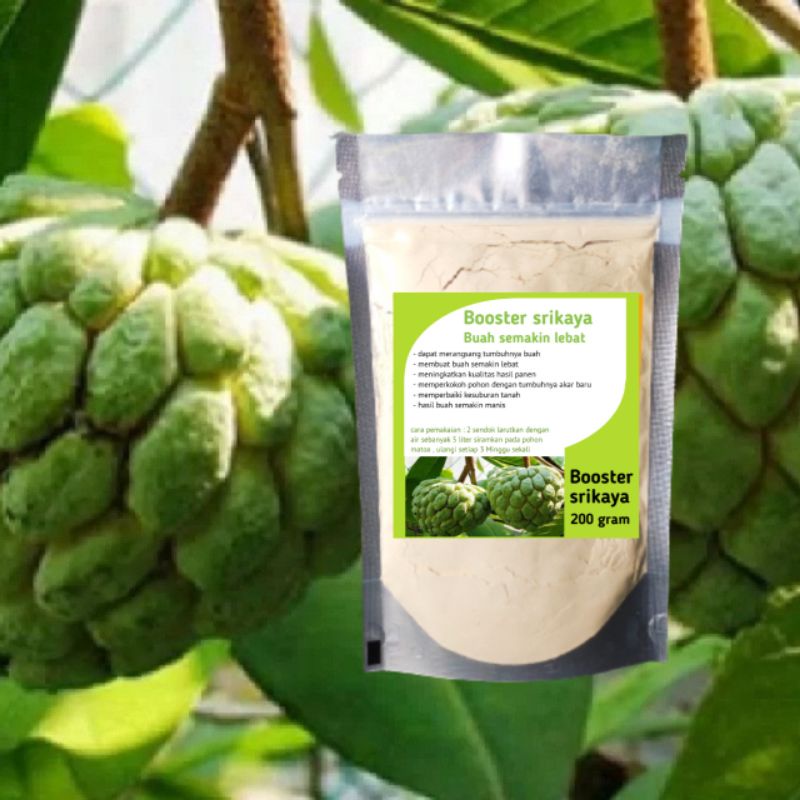 booster srikaya pupuk buah srikaya