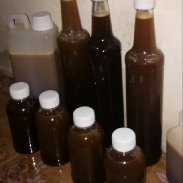 

Madu hutan sialang