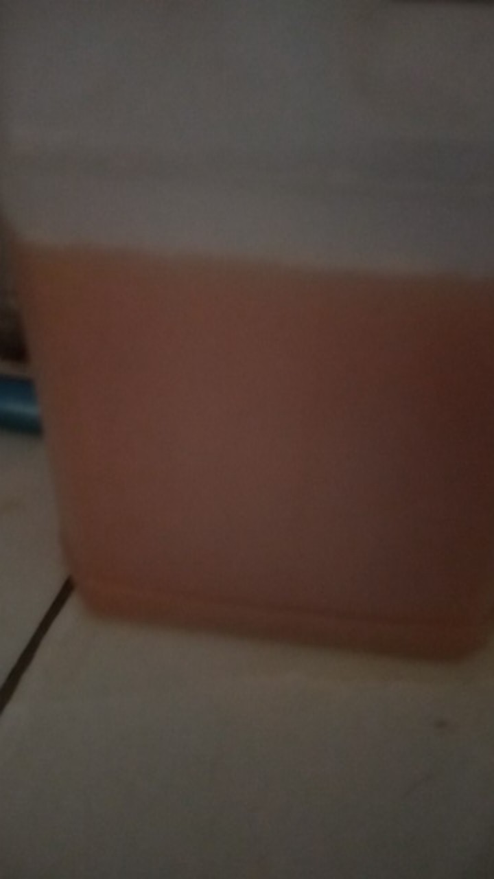 Lerak Klerek Sabun Cair 1 Liter