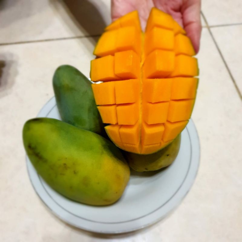 

MANGGA HARUM MANIS
