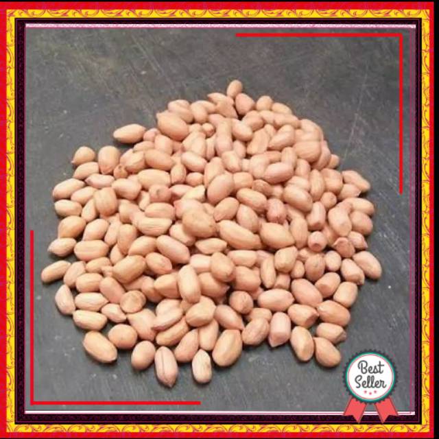 

KACANG TANAH MENTAH BESAR KILOAN PASAR LOKAL MURAH 500 GRAM/KACANG MENTAH KUPAS IMPORT SUPER 1KG