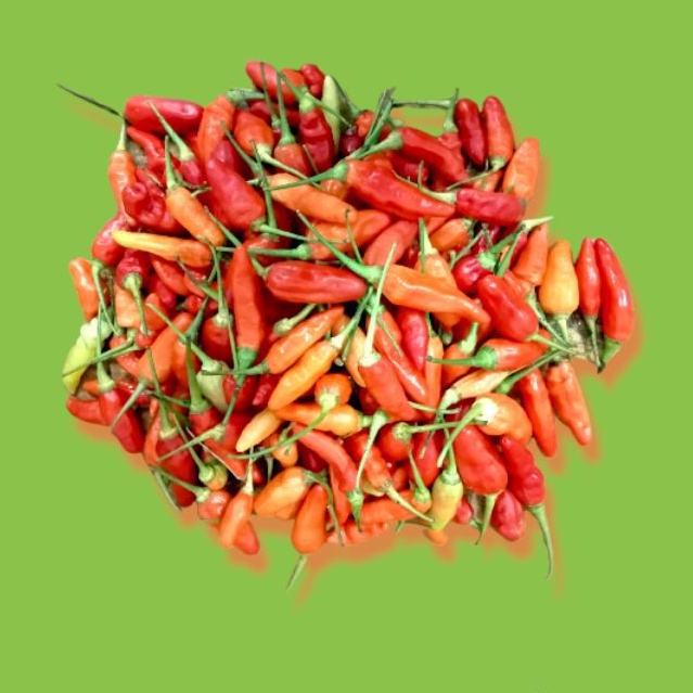 

SegarDailly Cabai Rawit Merah /Pack