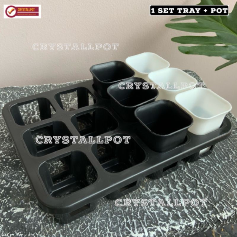 1 set Tray + pot bunga tanaman nkt kotak 5cm | tray semai bibit