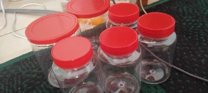 Toples Fox Jar Cookies Sosis 500gr
