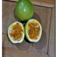 

Buah markisa atau konyal segar per 1 kg