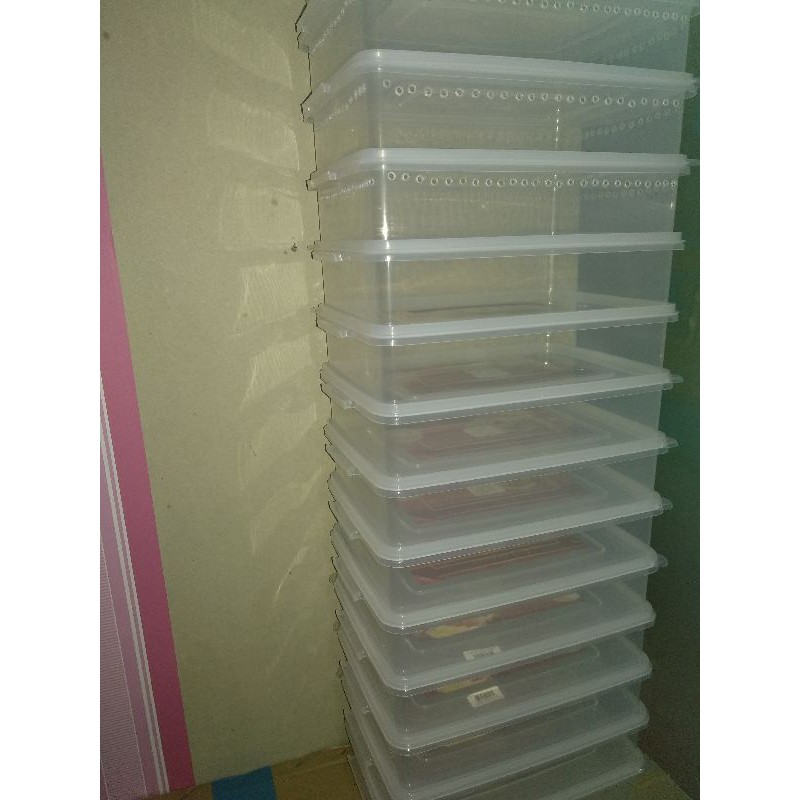 BOX KOTAK/KANDANG LEOPARD GECKO