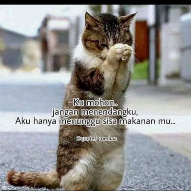 sahabatcia