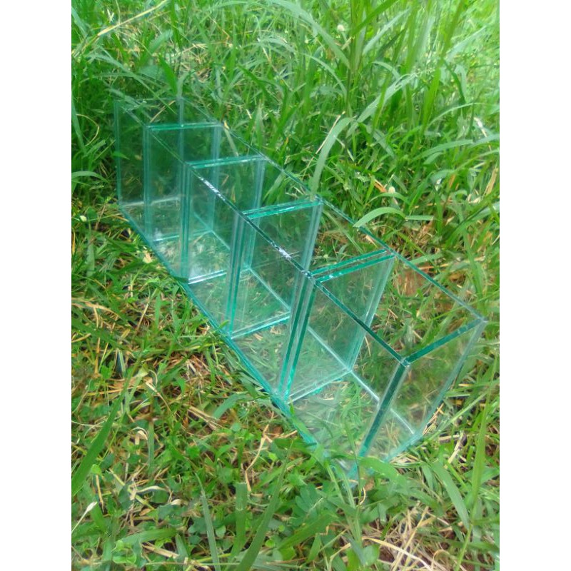 SOLITER Sekat 5/Aquarium Soliter dgn lima kamar UK 50x10x15