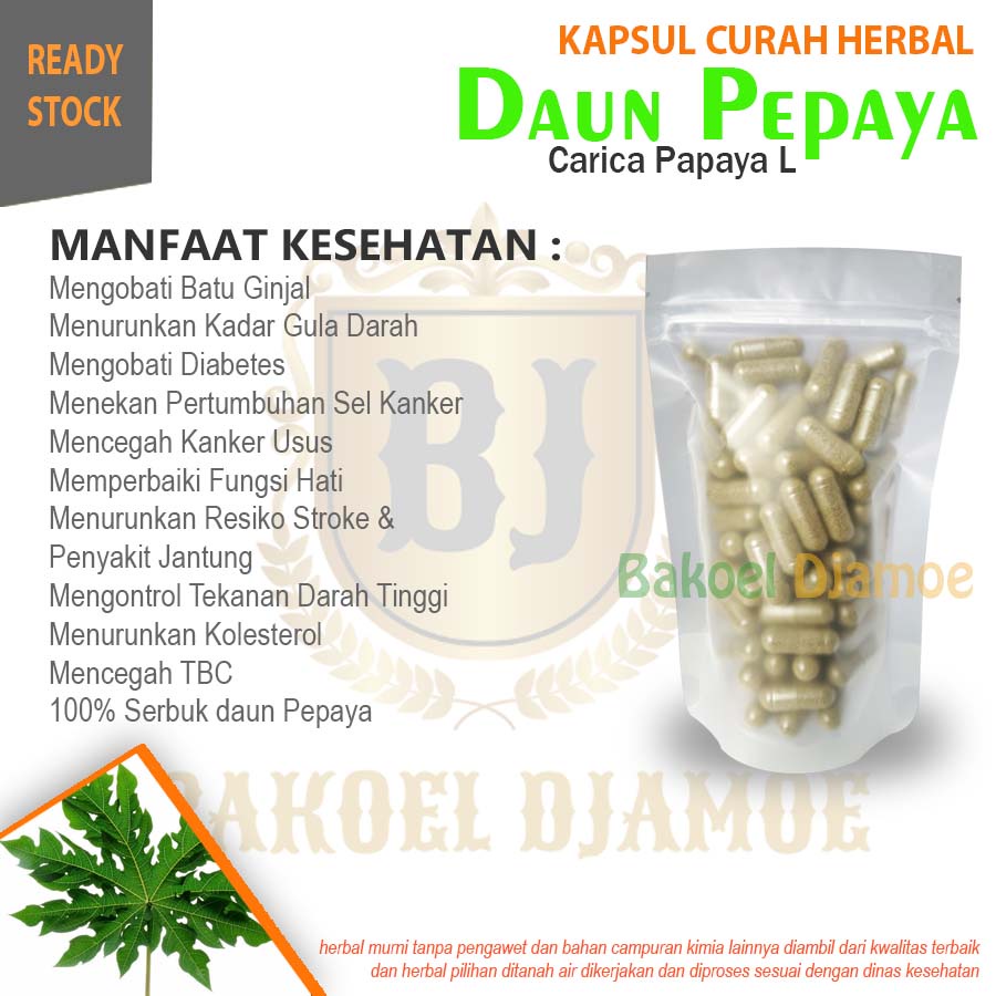 

Kapsul curah herbal daun pepaya kapsul herbal demam berdarah malaria