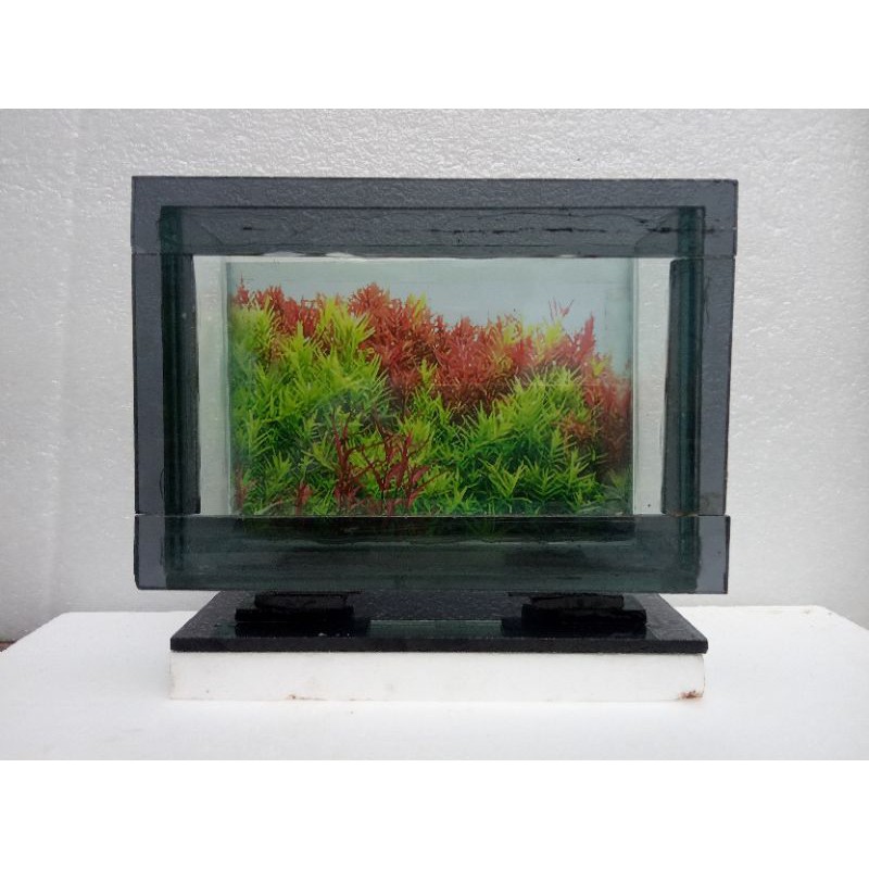 Aquarium LED mini, Aquascape ikan cupang