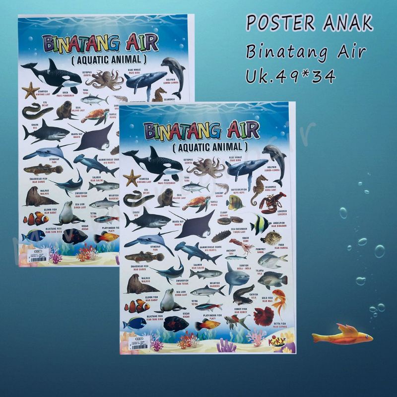 Poster Anak Edukasi/ Poster Kiky/ Poster Belajar Anak