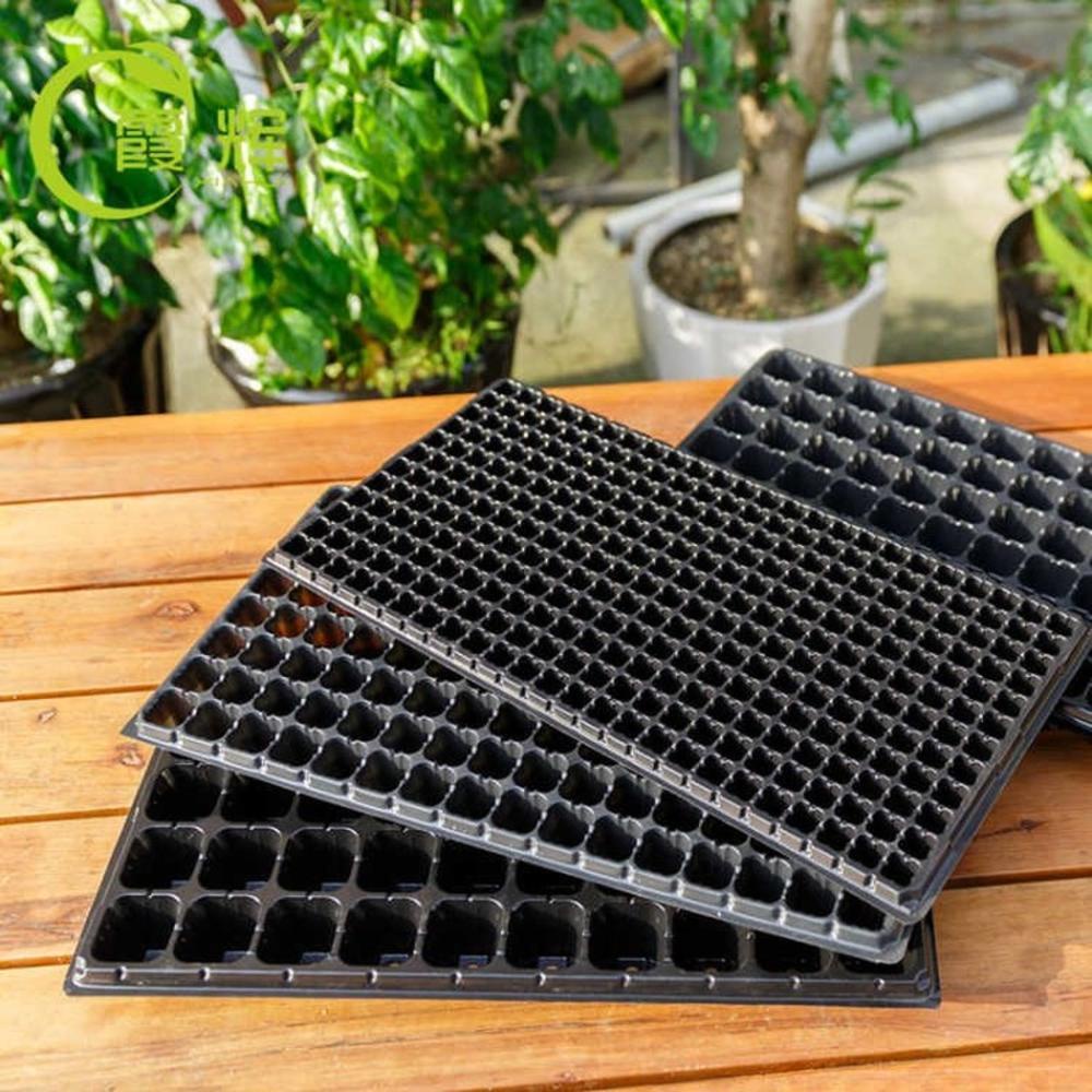 Tray Semai Agustina Rambatan Benih Sukulen Starter Bonsai 10Pcs Pot Bunga Plastik