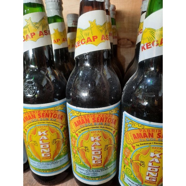 

kecap asin kalong