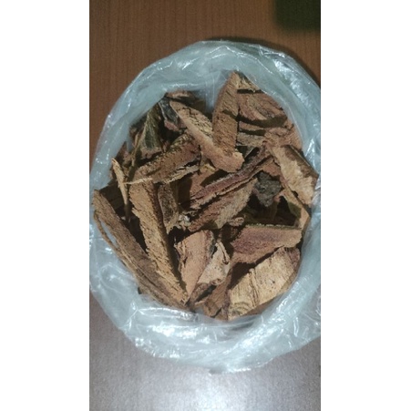 Kulit batang FALOAK-Hepatitis-Liver-Hati-Kanker-Tumor-Anemia