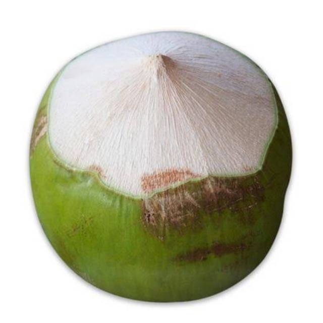 

Kelapa muda lokal