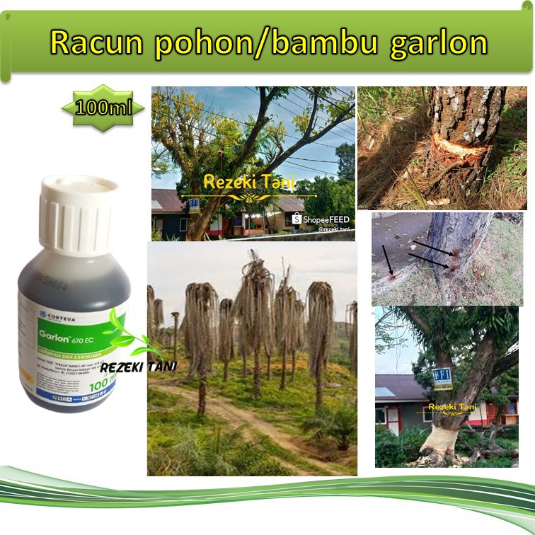 Herbisida Racun Rumput Pohon Kayu Garlon 100ml Basmi Pohon Kayu Shopee Indonesia