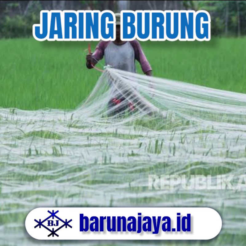 Jaring Burung - Jaring Sawah - Jaring Padi