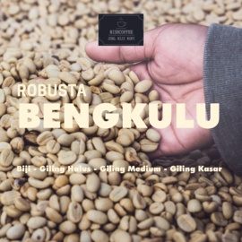 

Kopi robusta bengkulu