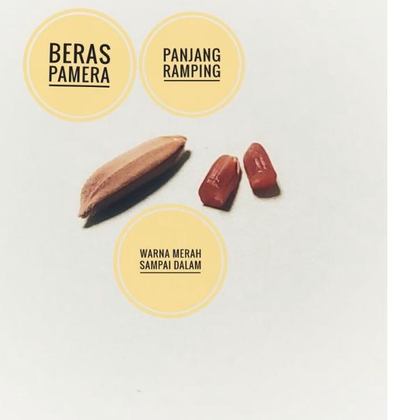 Banyak Dipakai.. Benih Padi Merah Pamera / Padi Aromatik Wangi / Benih Padi Merah Pulen Wangi