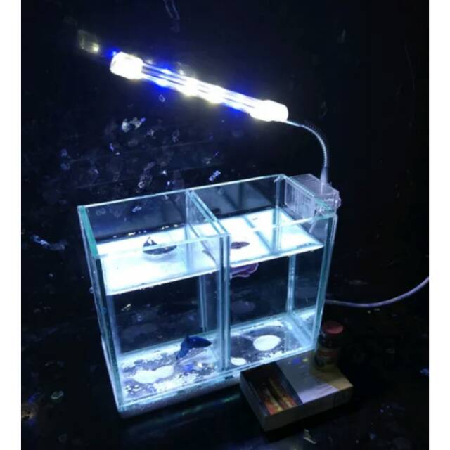 Aquarium sekat ikan cupang