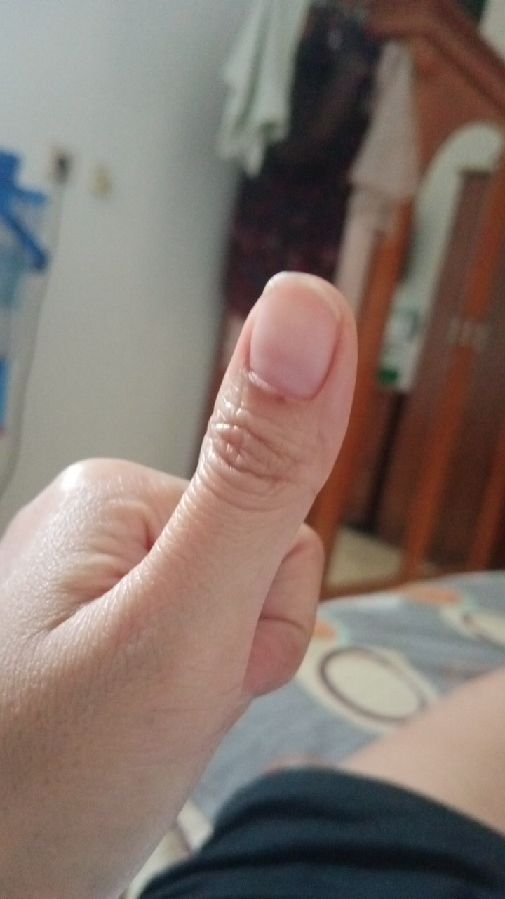 Per 6 Pcs Pisau Steak Stainless / Pisau Daging / Pisau Dapur