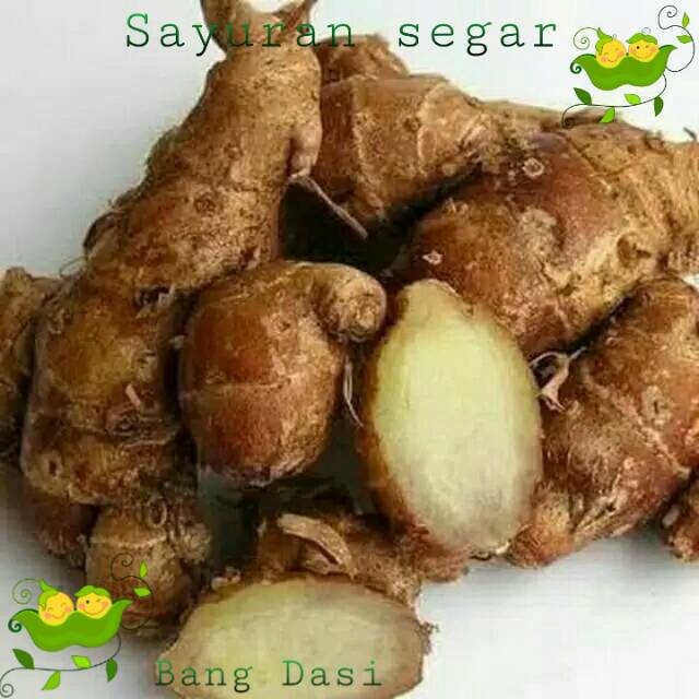 

Kencur segar 250gr