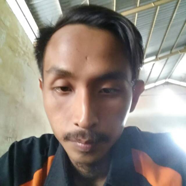 dedykris02