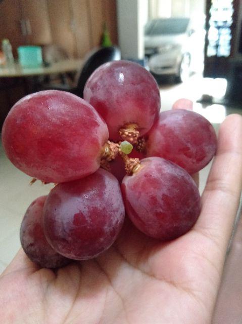 Teko Listrik Stainless Bagus / Pemanas Air Makanan Minuman Bahan Stainless High Quality