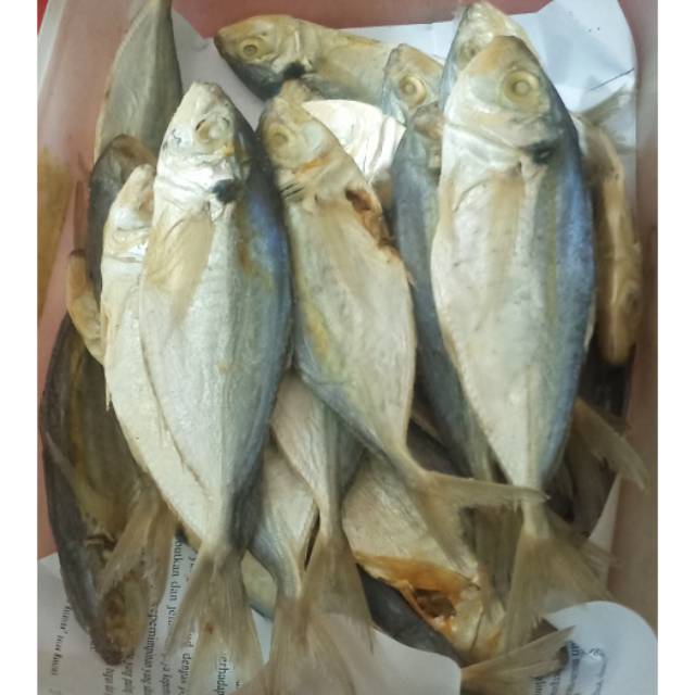 

•IKAN SELAR ASIN•