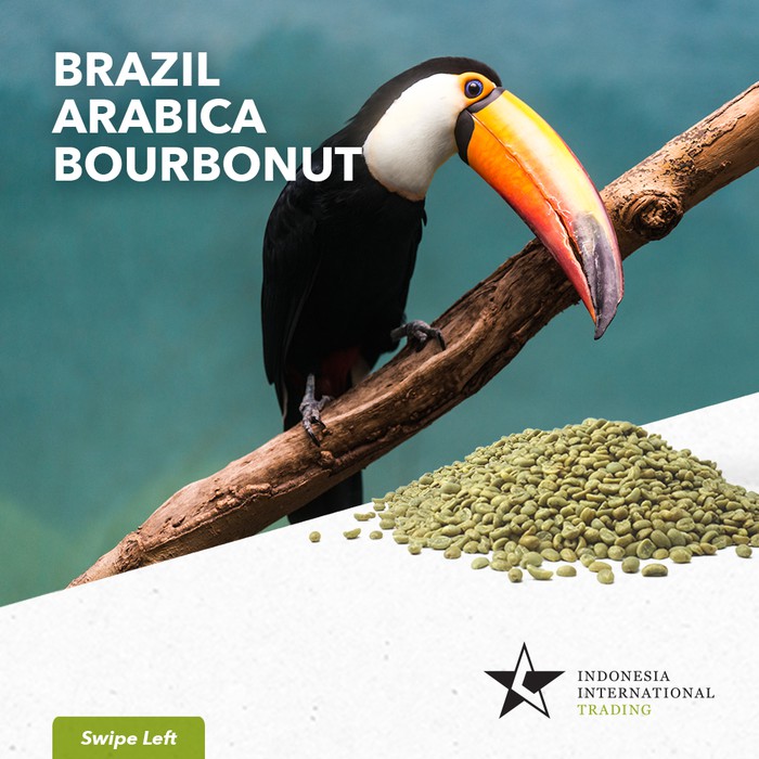 

Arabica Green Beans - Brazil Bourbonut Natural 1 Kg - kkp2341