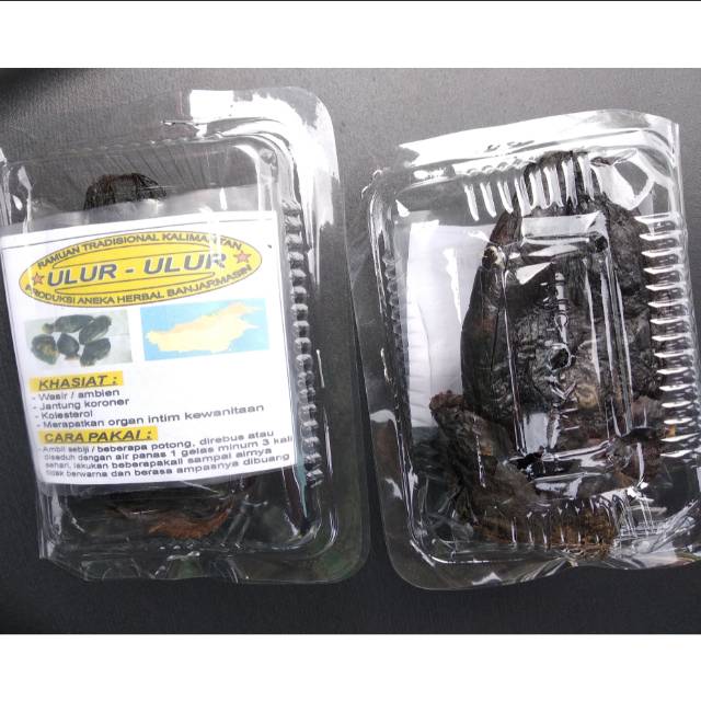 Obat herbal kalimantan buah ulur ulur manjur