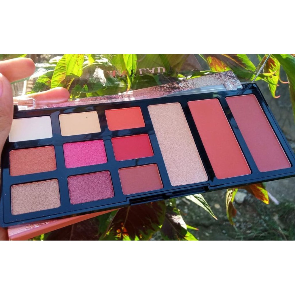 Eyeshedow ANY LADY &amp; Blusher palete No 726 ALLROUND PALETTE HIGHLIGHTER BLUSH