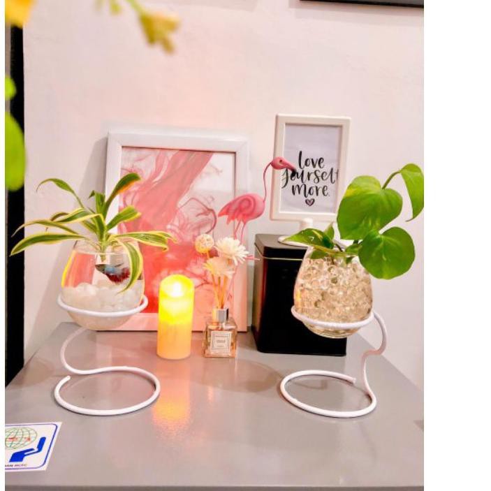 News Vas Bunga Kaca Aquarium Ikan Cupang Pot Gelas Tanaman Air Aquascape Glass Dekorasi Pajangan Me