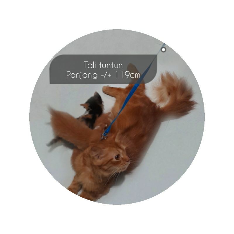 Tali Tuntun Kucing (panjang-/+119cm)