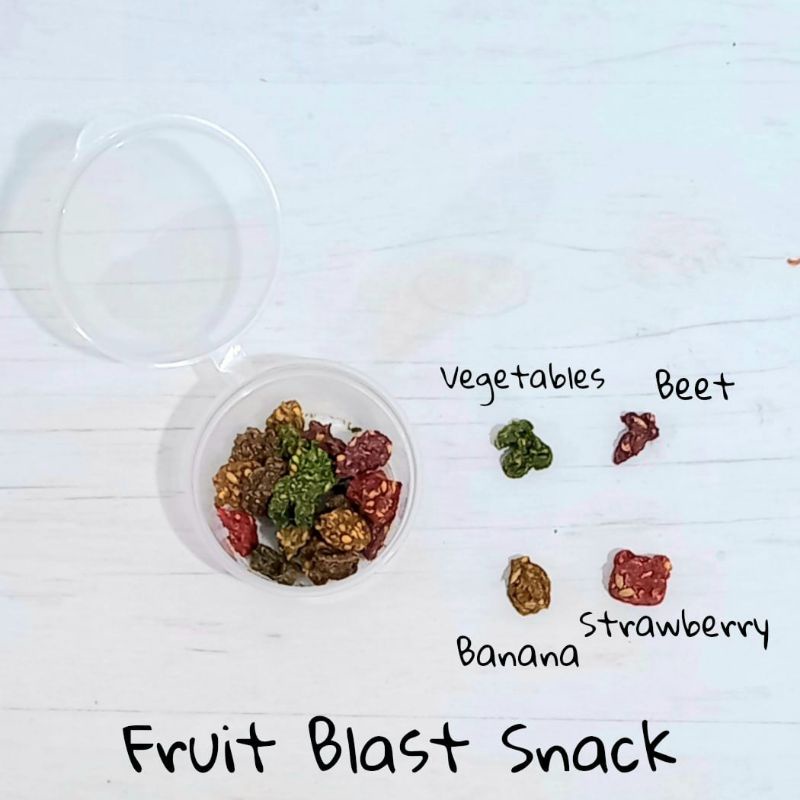 Fruit Blast! Snack Hamster Multivitamin dengan Buah dan Biji Asli