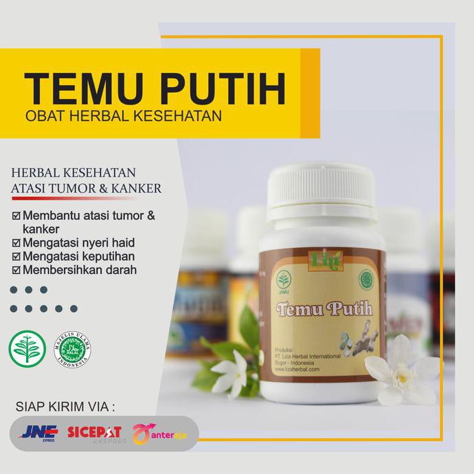 

nadians/// Temu Putih Obat Herbal Meredakan Nyeri Haid,Keputihan,Mencegah Kanker