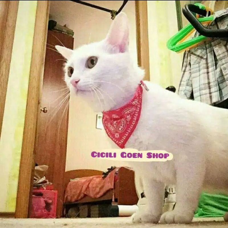 Kalung scarf Anjing Kucing Kelinci Musang Collar Tali Cowboy Scraft Syal Bandana Motif