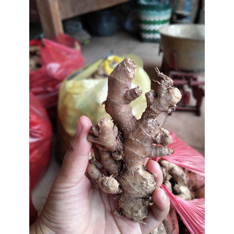 

JAHEJEMRPIT✨✨✨✨✨