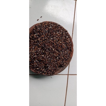

beras hitam. asli pegunungan 5kg