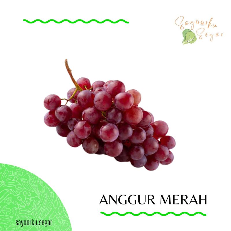 

KIRIM BESOK Buah Anggur Merah